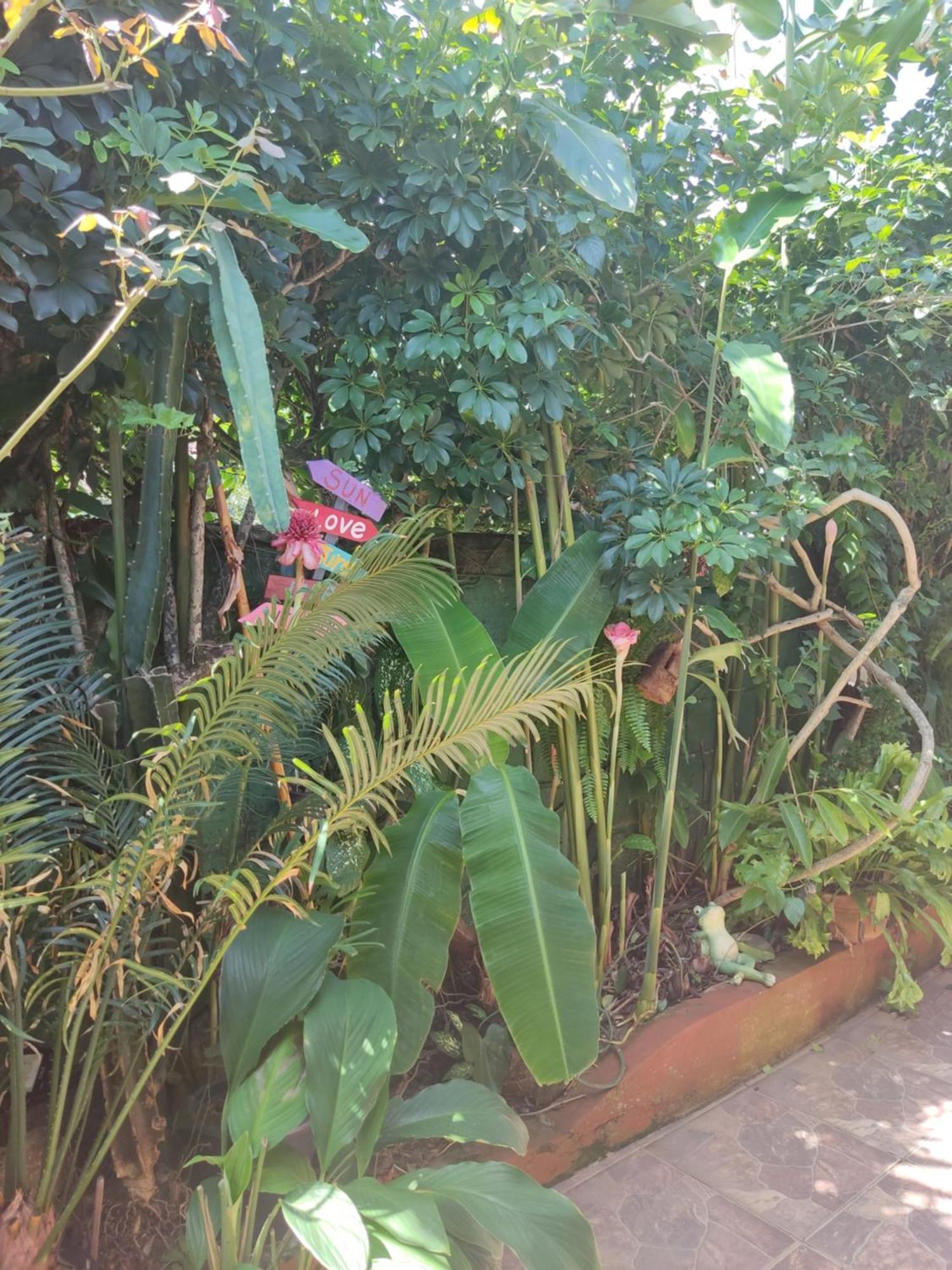 Recanto Toca das Plantas de Ilhabela I Zimmer foto
