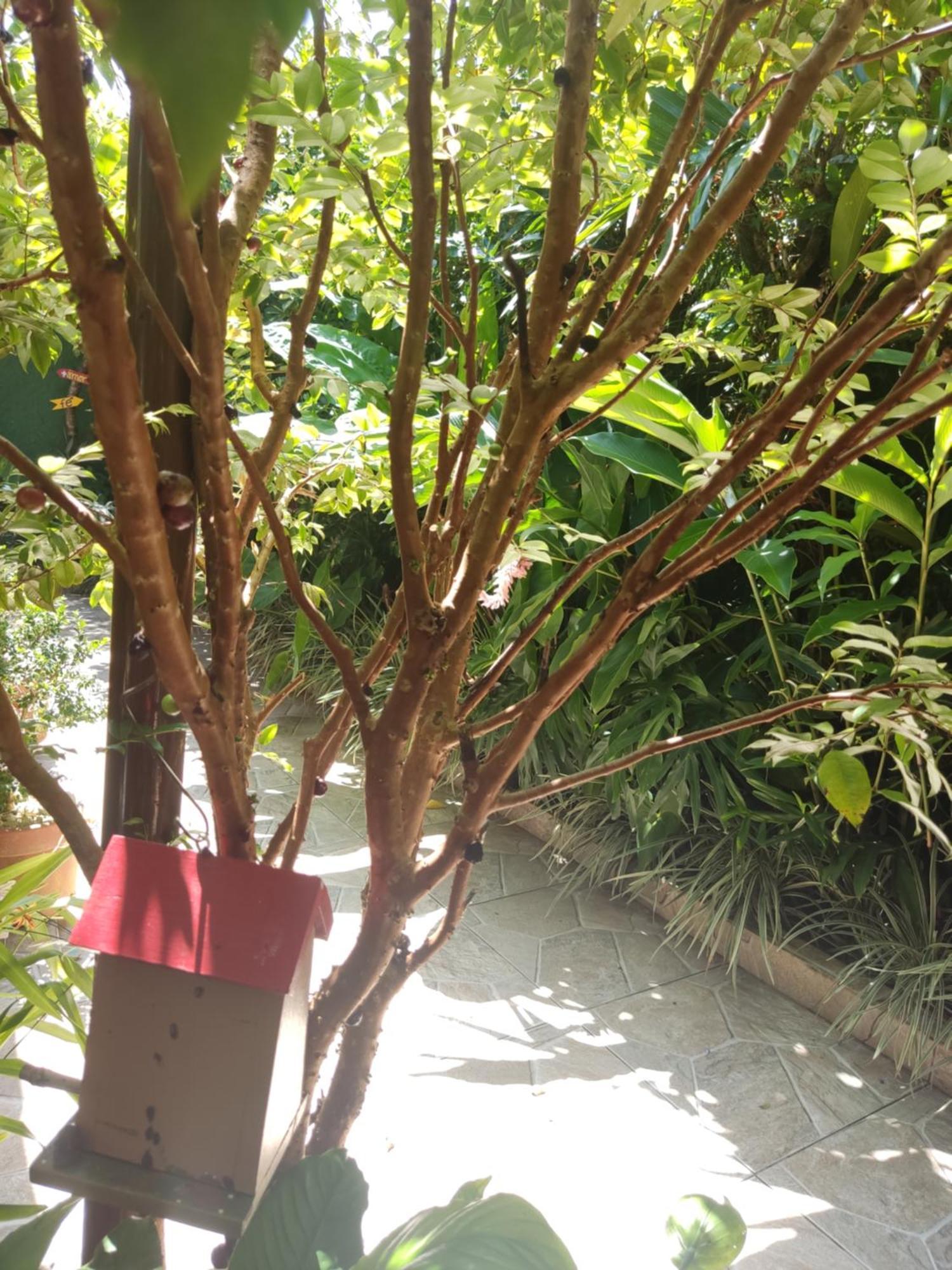 Recanto Toca das Plantas de Ilhabela I Zimmer foto